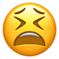 emoji5